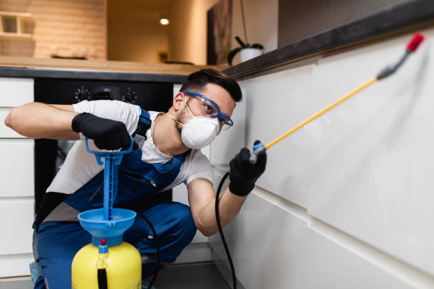 Best Termite Control Services  in Santa Rosa Valley, CA