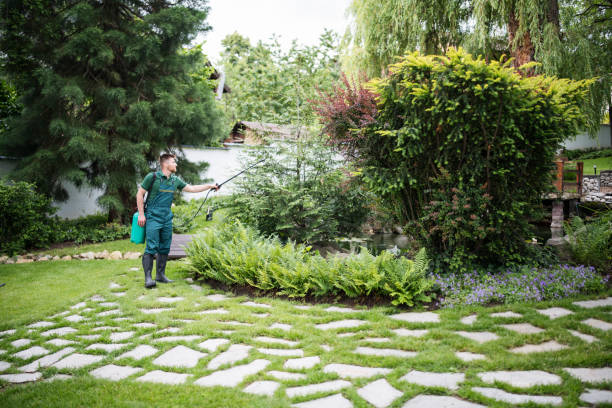 Reliable Santa Rosa Valley, CA Pest Control Solutions