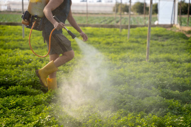 Best Pest Removal Services  in Santa Rosa Valley, CA