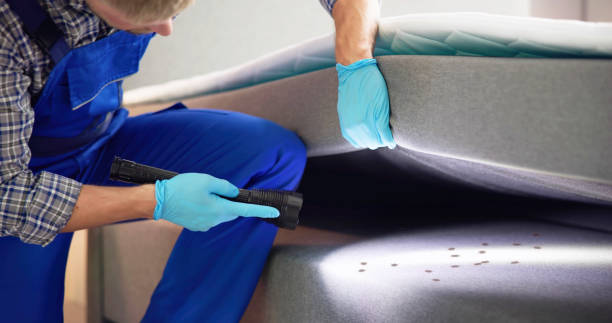 Best Exterminator Services  in Santa Rosa Valley, CA