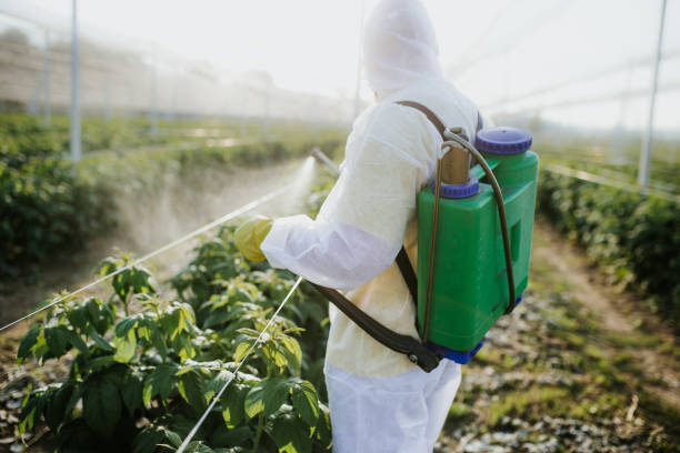  Santa Rosa Valley, CA Pest Control Pros